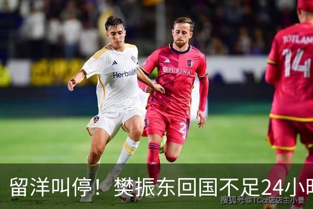 留洋叫停！樊振东回国不足24小时，官宣新身份，总算盼来这一天